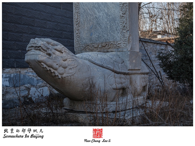 查看更多精彩图片