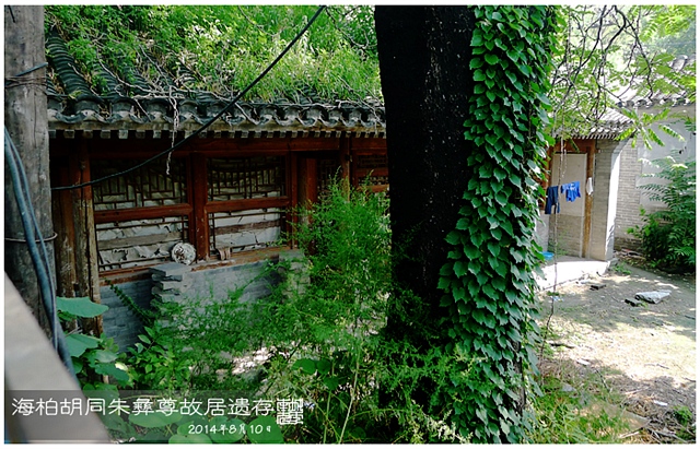 查看更多精彩图片