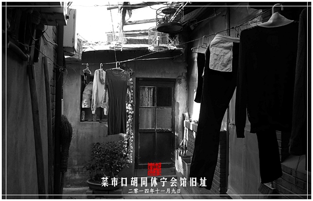 查看更多精彩图片