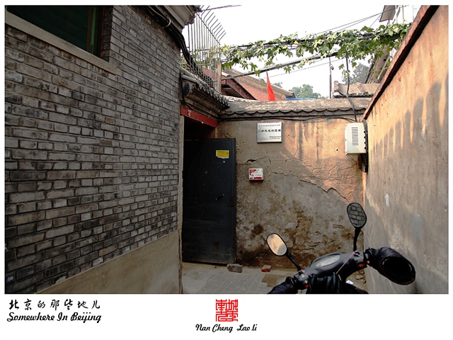查看更多精彩图片