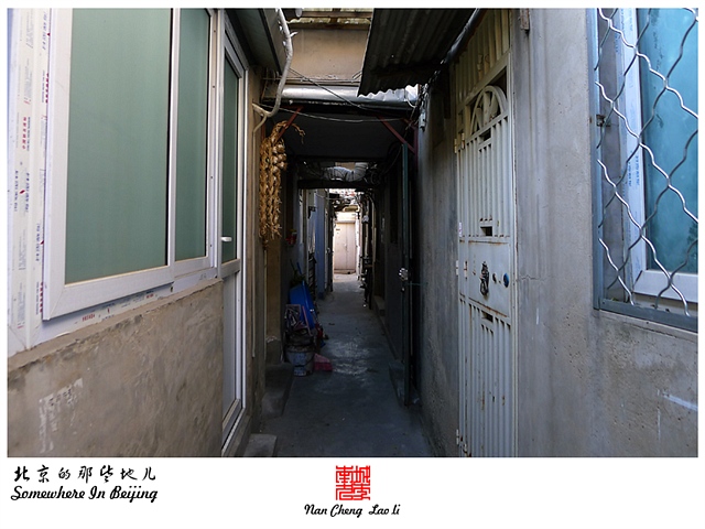 查看更多精彩图片