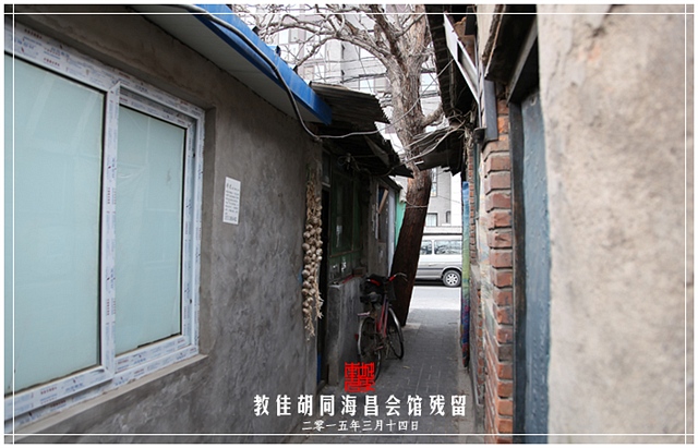 查看更多精彩图片