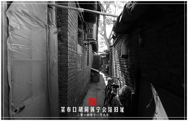 查看更多精彩图片