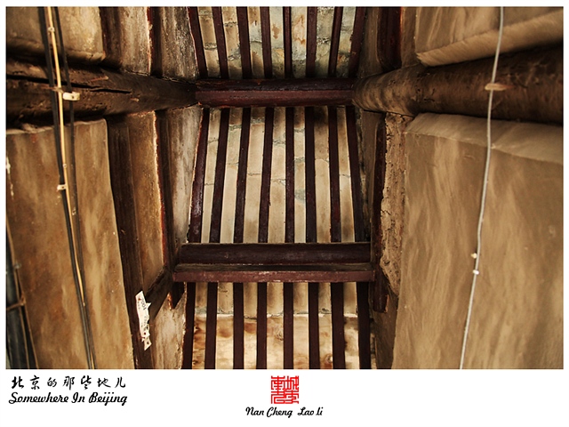 查看更多精彩图片