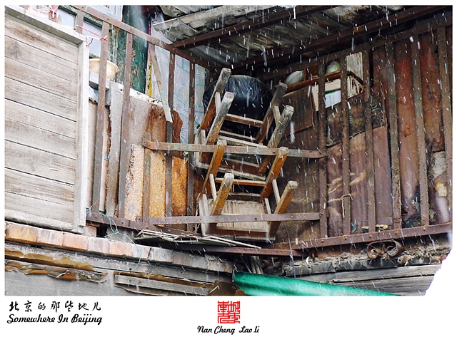 查看更多精彩图片