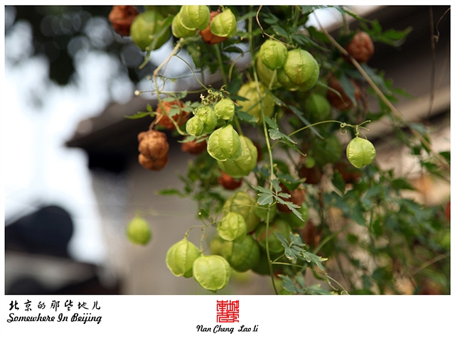 查看更多精彩图片
