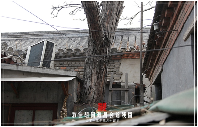 查看更多精彩图片
