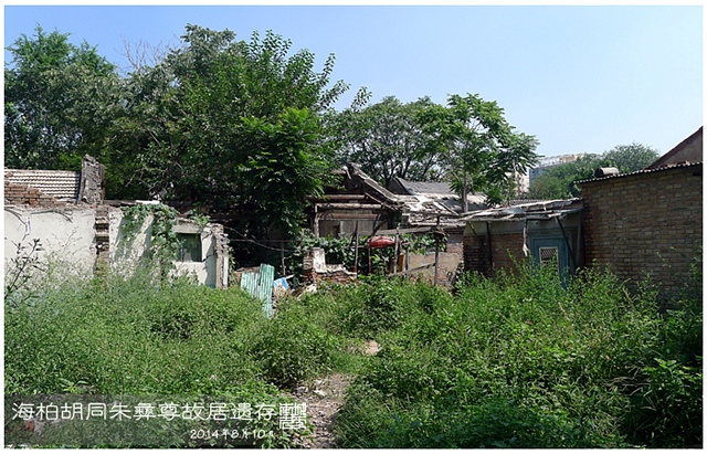 查看更多精彩图片