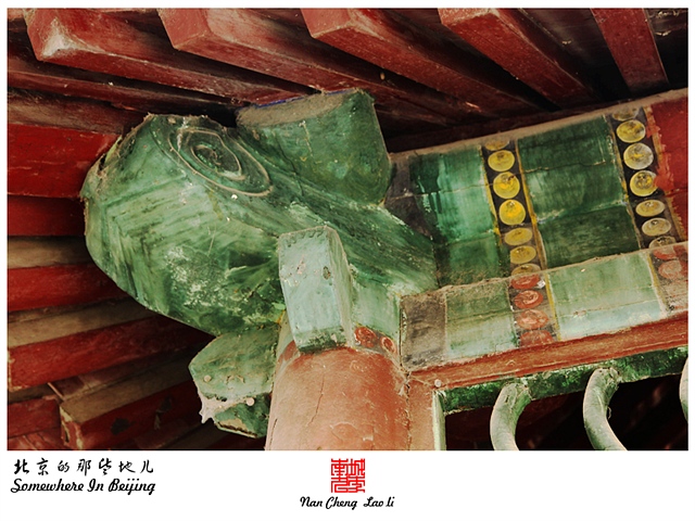查看更多精彩图片