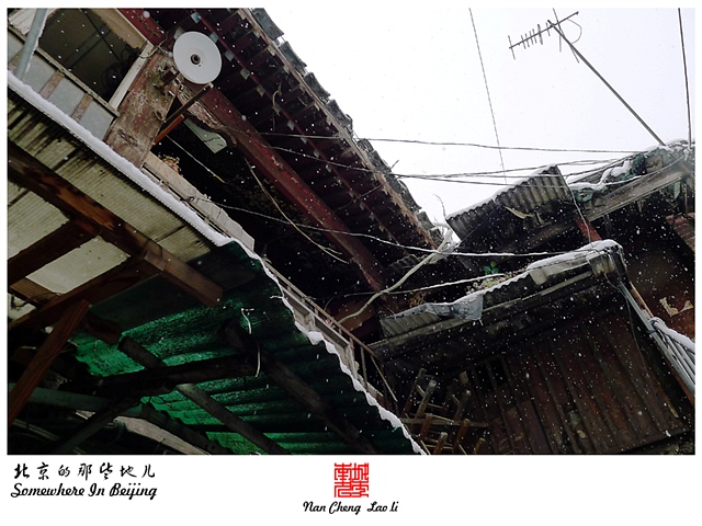 查看更多精彩图片