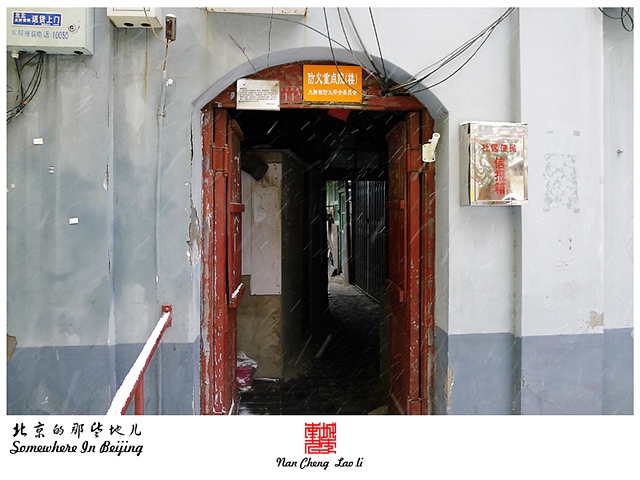 查看更多精彩图片