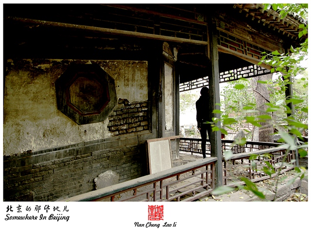 查看更多精彩图片