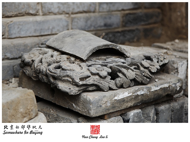 查看更多精彩图片
