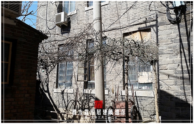 查看更多精彩图片