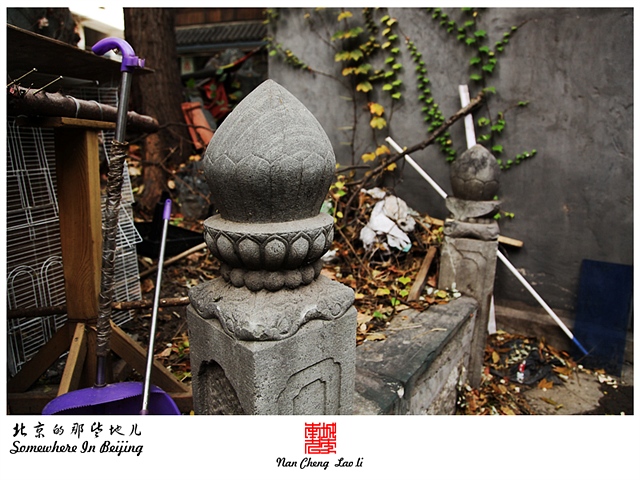 查看更多精彩图片