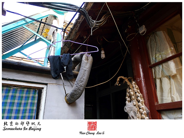 查看更多精彩图片