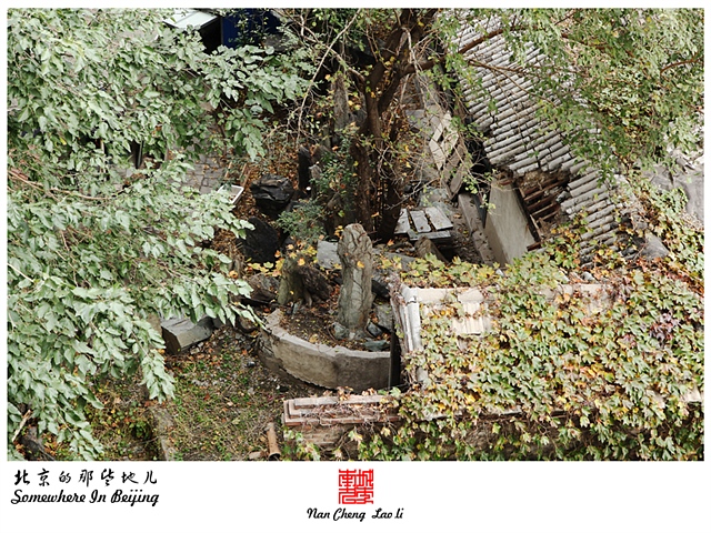 查看更多精彩图片