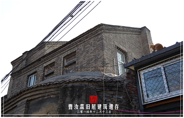 查看更多精彩图片