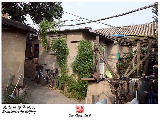 查看更多精彩图片