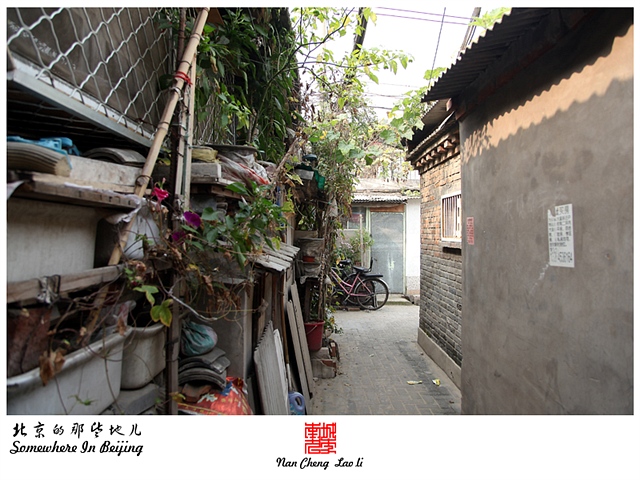 查看更多精彩图片