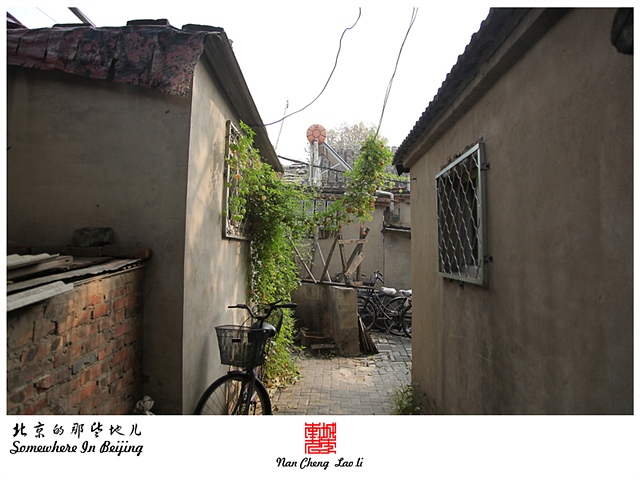 查看更多精彩图片