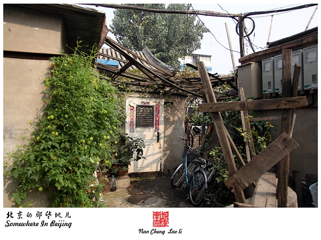 查看更多精彩图片