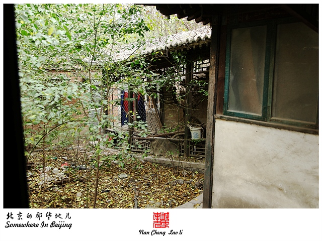 查看更多精彩图片