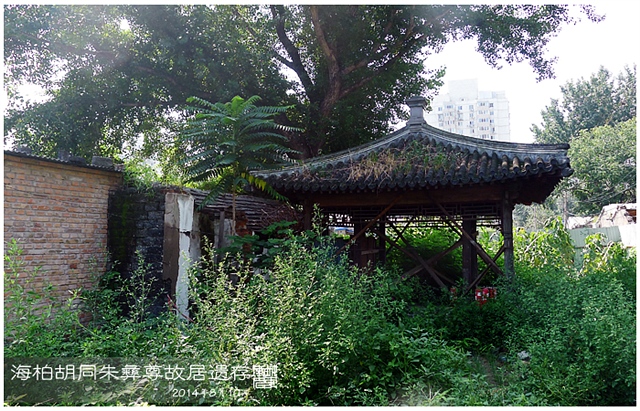 查看更多精彩图片
