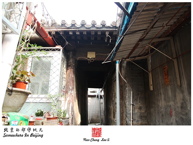 查看更多精彩图片