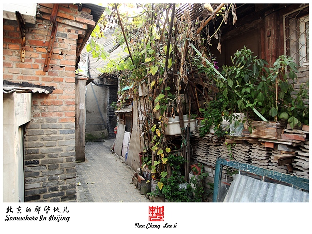 查看更多精彩图片