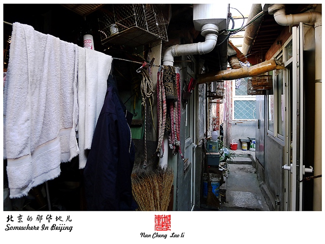 查看更多精彩图片