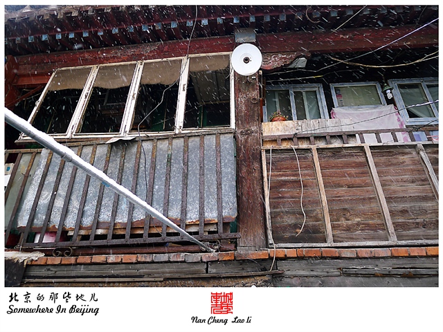 查看更多精彩图片