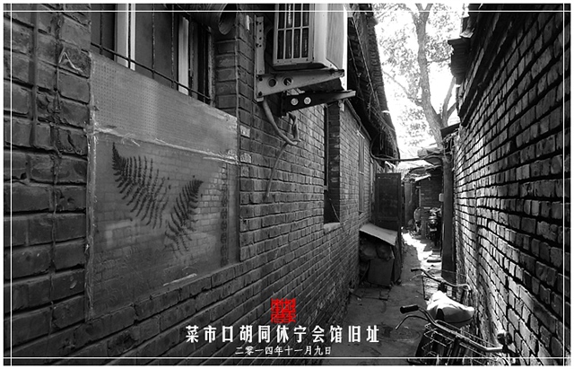 查看更多精彩图片