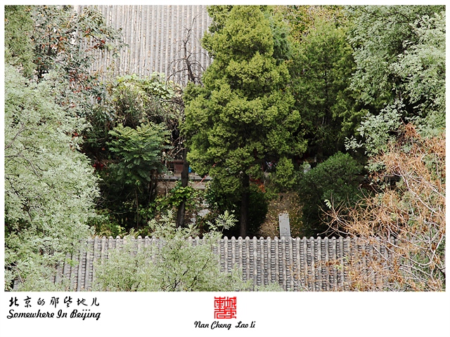 查看更多精彩图片