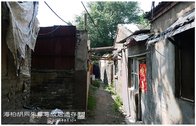 查看更多精彩图片