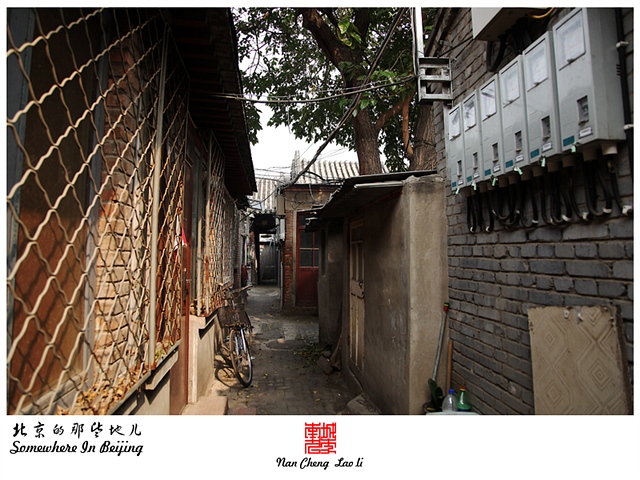 查看更多精彩图片