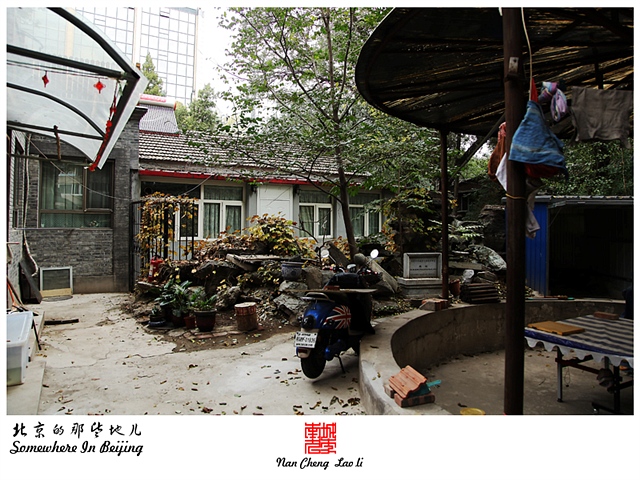 查看更多精彩图片
