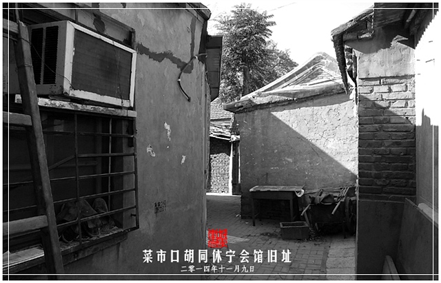 查看更多精彩图片