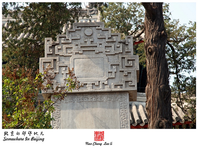 查看更多精彩图片