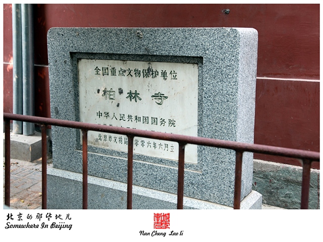 查看更多精彩图片