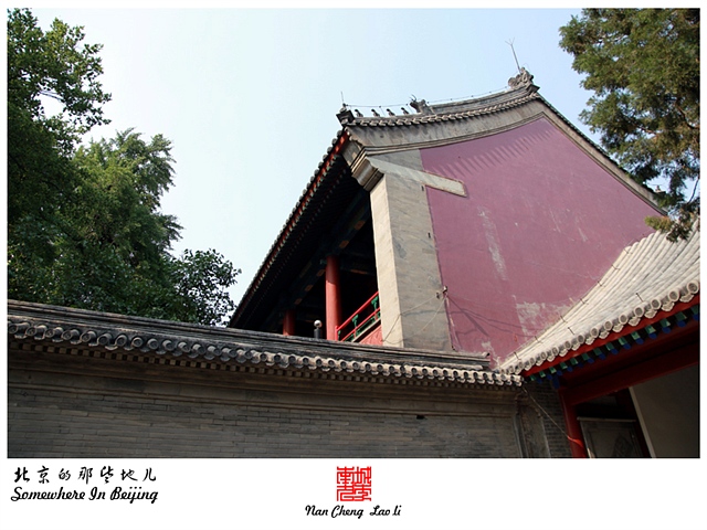 查看更多精彩图片