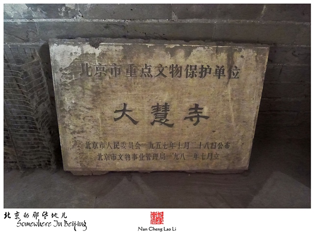 查看更多精彩图片