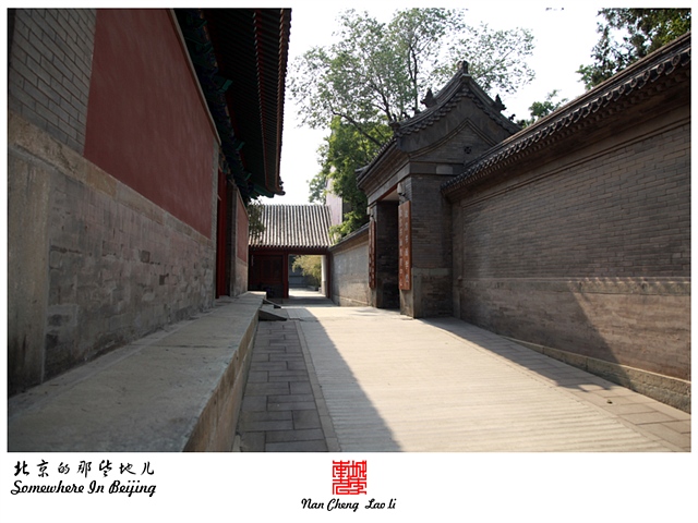 查看更多精彩图片