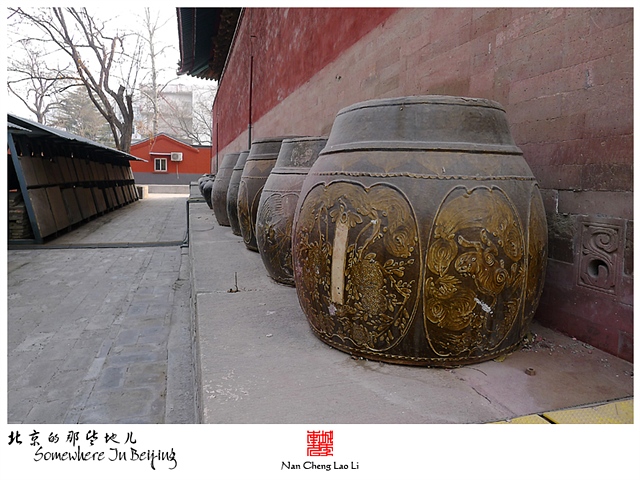 查看更多精彩图片