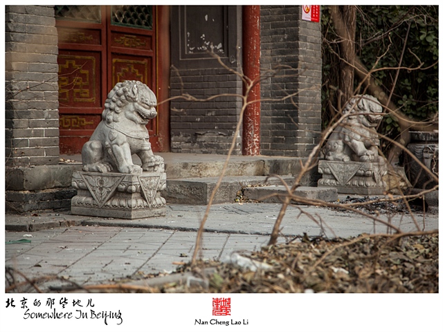 查看更多精彩图片