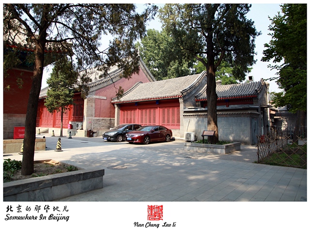 查看更多精彩图片