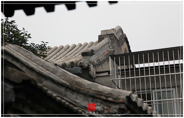 查看更多精彩图片