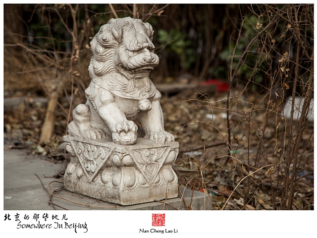 查看更多精彩图片
