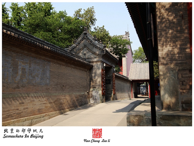 查看更多精彩图片
