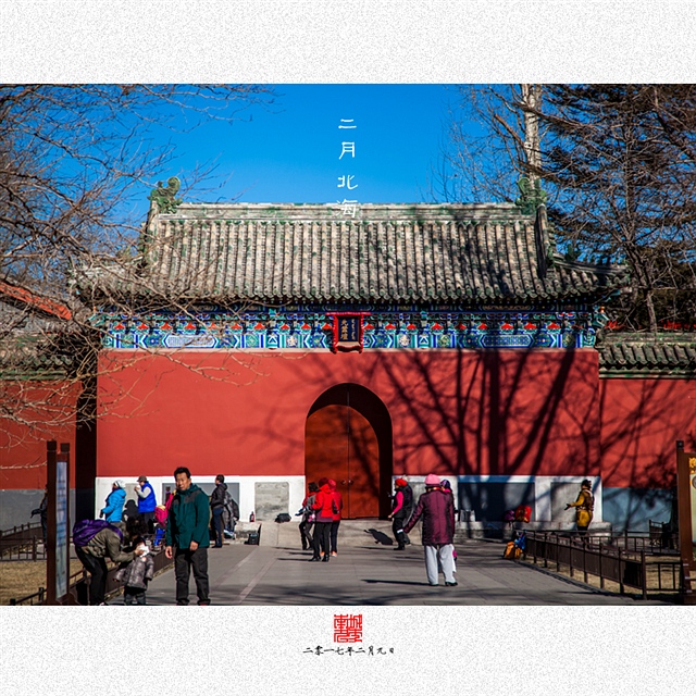 查看更多精彩图片